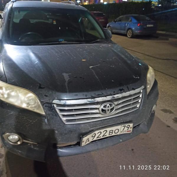 Toyota Vanguard 2010, фото 2