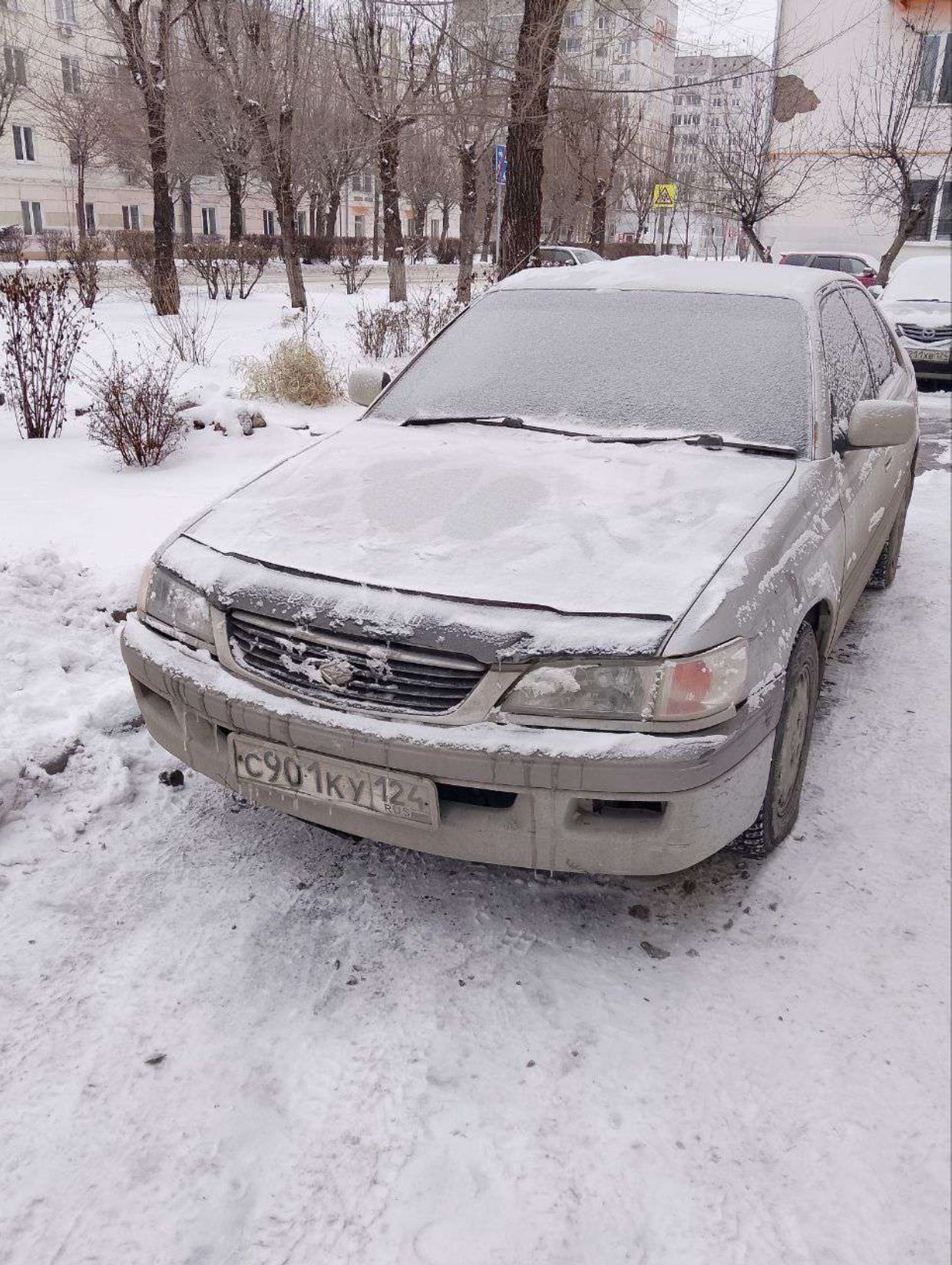 Toyota Corona