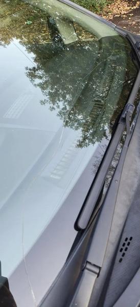Nissan Tiida 2009, фото 7