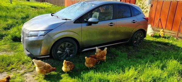 Nissan Note 2021, фото 13