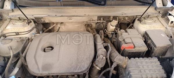 Xcite X-Cross 7 2024, фото 17