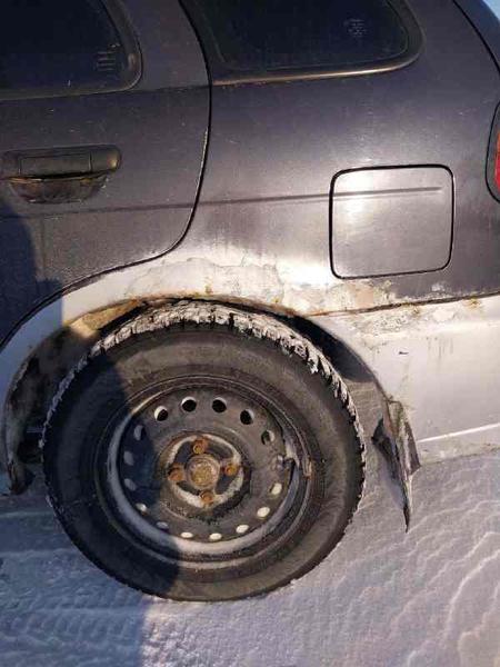 Nissan Pulsar 1996, фото 12