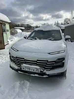 JETOUR DASHING 2024 с торгов по банкротству, фото 1