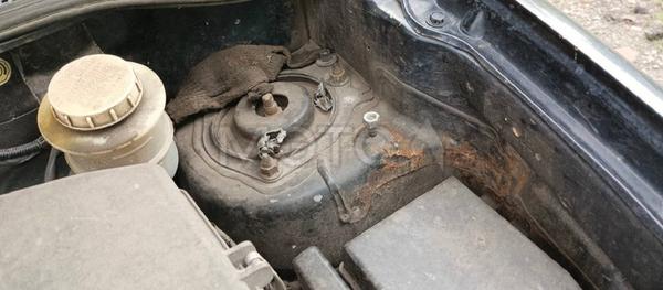 Mitsubishi Outlander 2004, фото 12
