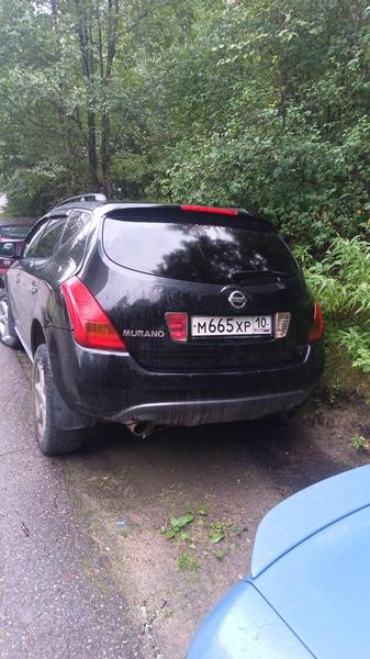 Nissan Murano 2006, фото 3