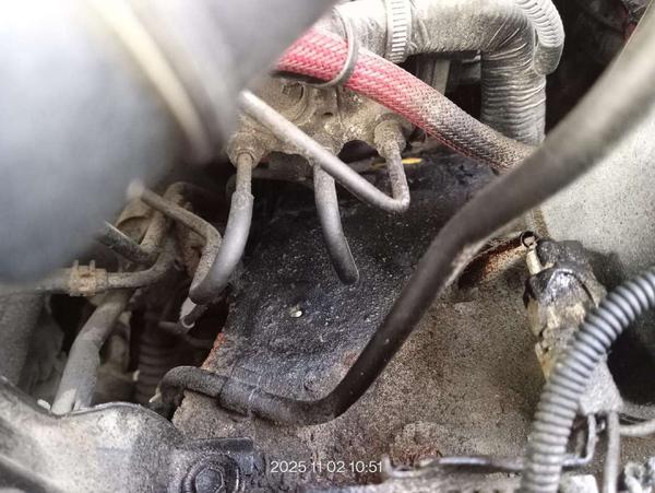 Toyota Не указана 2005, фото 3