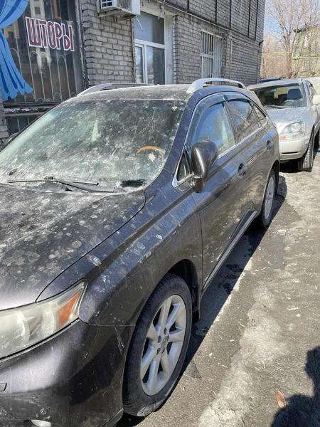 Lexus RX 2009, фото 11