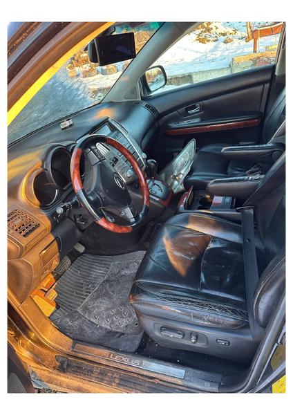 Lexus RX 2008, фото 7