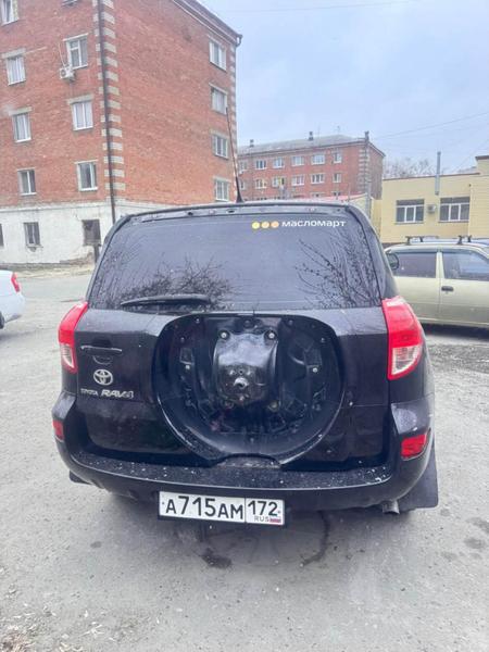 Toyota RAV4 2008, фото 3