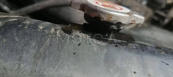 Toyota Land Cruiser 2011, фото 19