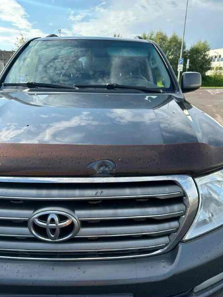 Toyota Land Cruiser 2009, фото 8