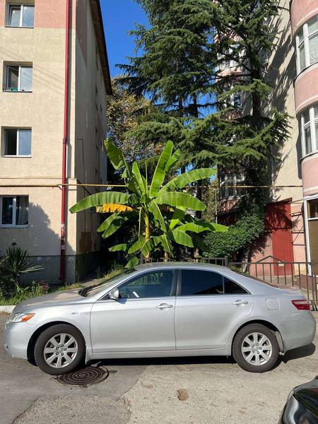 Toyota Camry 2008, фото 3