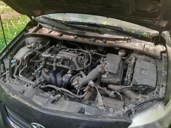 Toyota Corolla 2007, фото 8