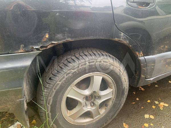 Hyundai Santa Fe 2003, фото 13