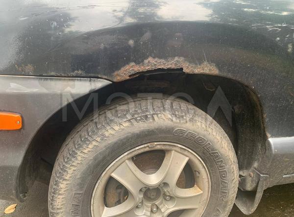 Hyundai Santa Fe 2003, фото 14