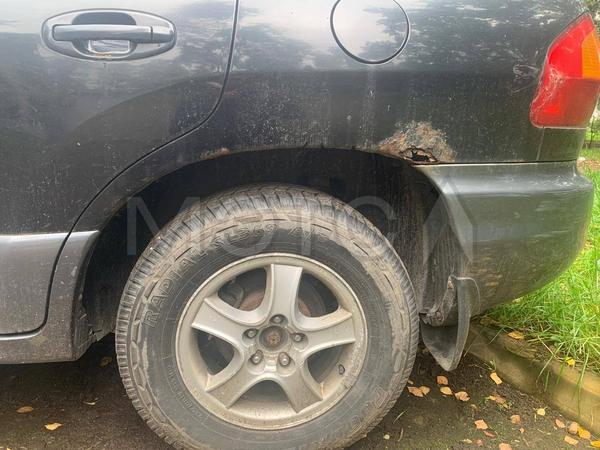 Hyundai Santa Fe 2003, фото 10
