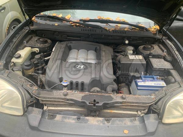 Hyundai Santa Fe 2003, фото 16