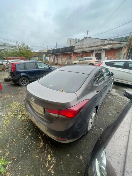 Hyundai Elantra 2015, фото 2