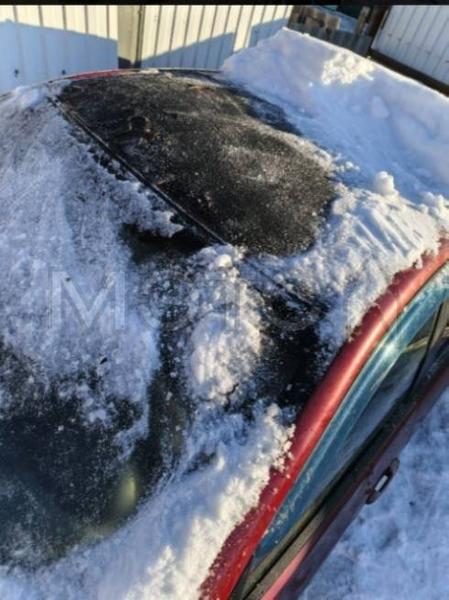 Hyundai Elantra 2010, фото 10