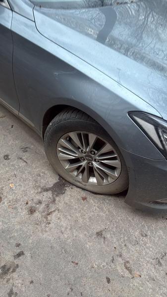 Hyundai Genesis 2014, фото 11