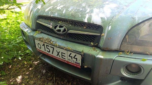 Hyundai Не указана 2008, фото 2