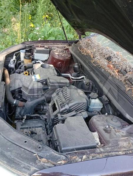 Hyundai Не указана 2011, фото 11