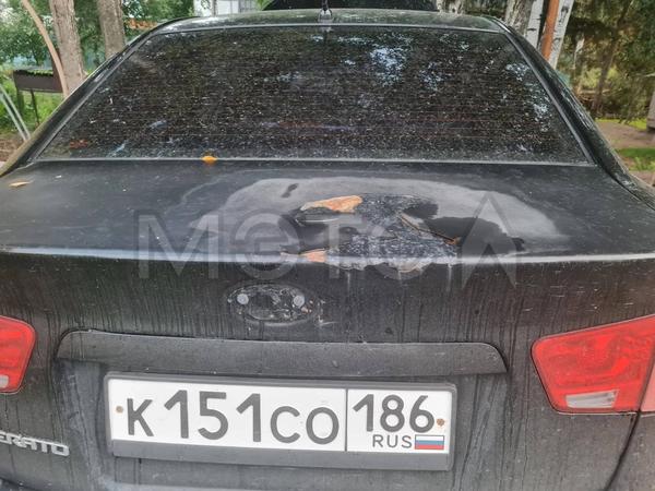 Kia Cerato 2009, фото 3
