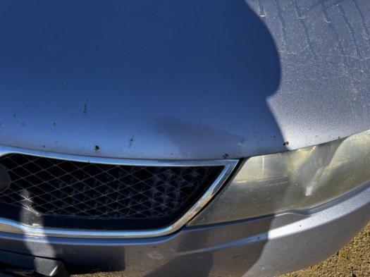 Kia Cerato 2009, фото 24