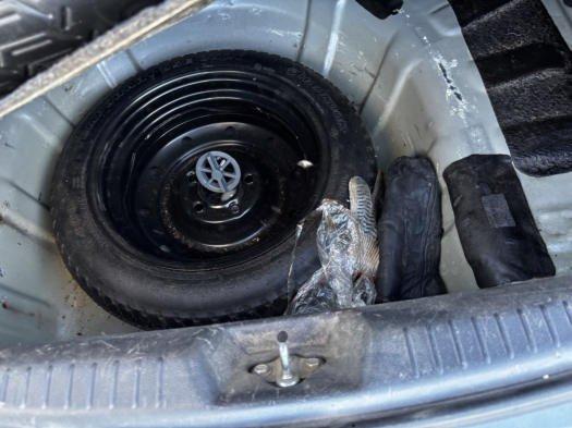 Kia Cerato 2009, фото 42