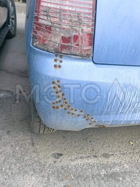 Kia Picanto 2007, фото 12