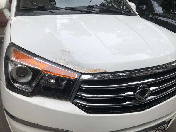 SsangYong Stavic 2014, фото 20