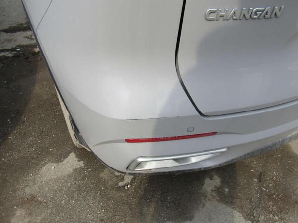 Changan CS55 Plus 2023, фото 8