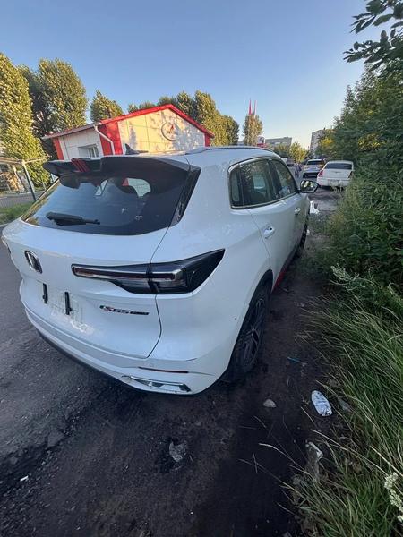 Changan CS55 Plus 2023, фото 2