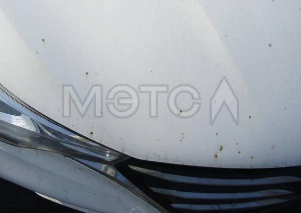Changan Alsvin 2023, фото 12