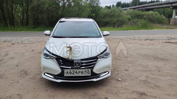 Changan Alsvin 2023, фото 2