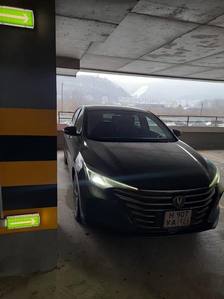 Changan Eado Plus 2023, фото 2