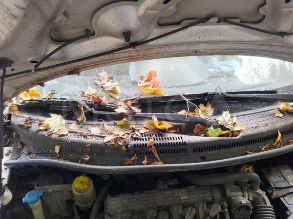 Chery IndiS (S18D) 2011, фото 30