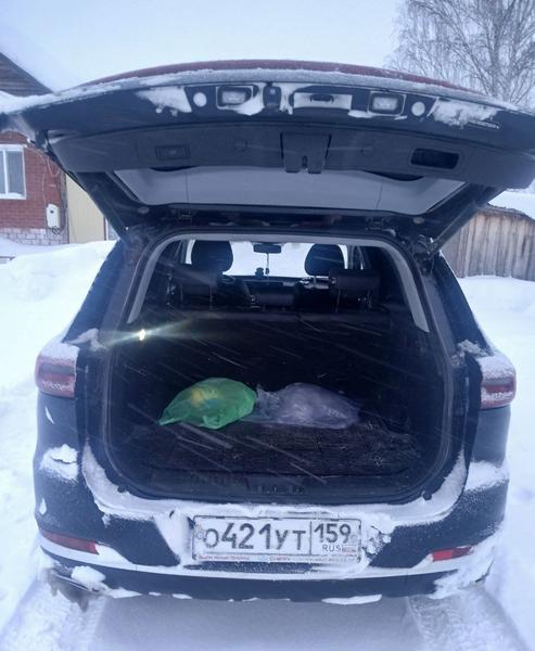Chery Tiggo 7 Pro Max 2024, фото 6