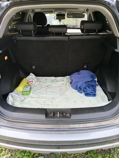 Chery Tiggo 4 Pro 2022, фото 4