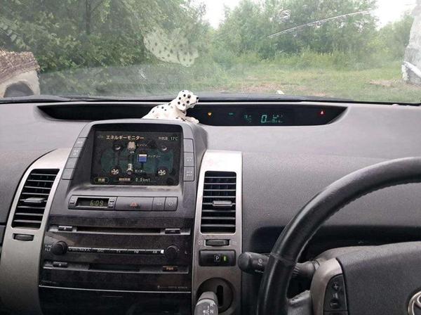 Toyota Prius 2008, фото 3