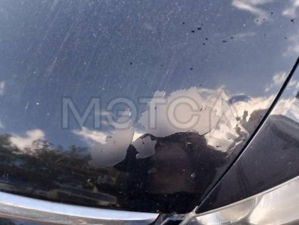 Honda Civic 2008, фото 6