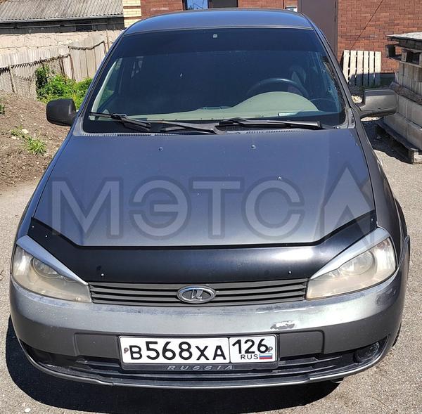 Lada (ВАЗ) Kalina 2010, фото 2