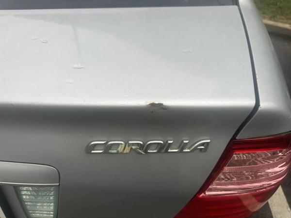 Toyota Corolla 2005, фото 15