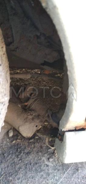 Honda Stream 2002, фото 11