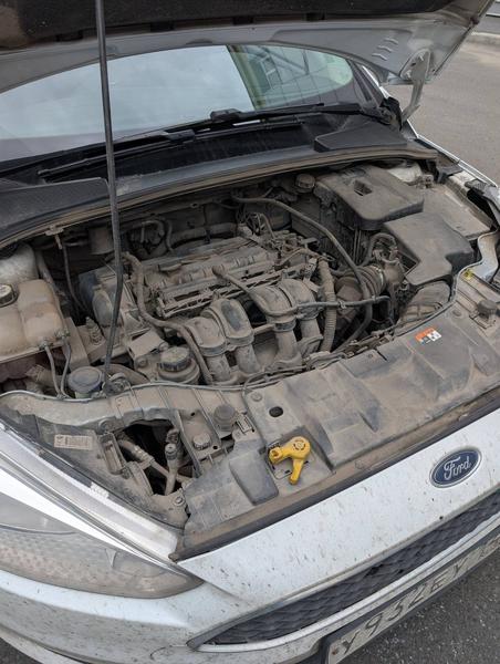 Ford Focus 2017, фото 22
