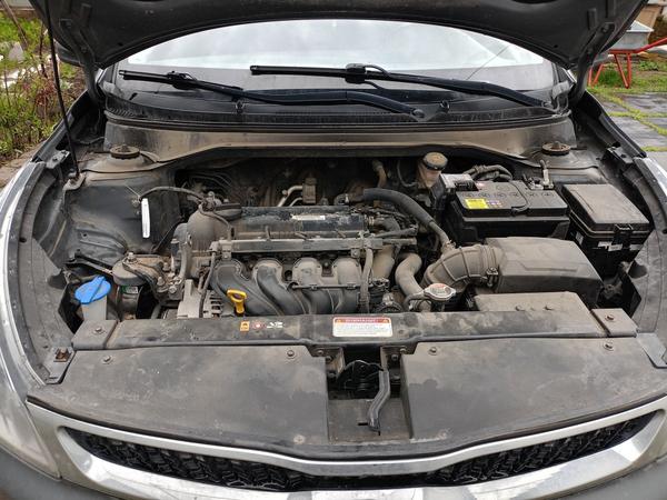 Kia Rio 0, фото 16