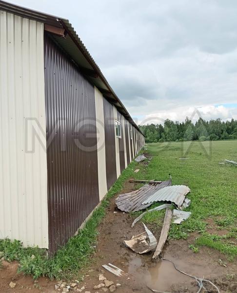 Не определено Не указана 2020, фото 2