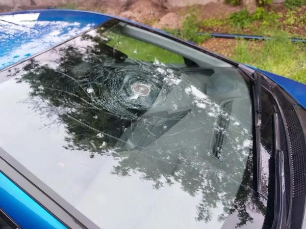Honda Civic 2007, фото 2