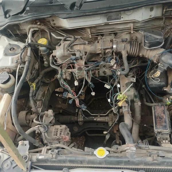 Nissan Sunny 2004, фото 2
