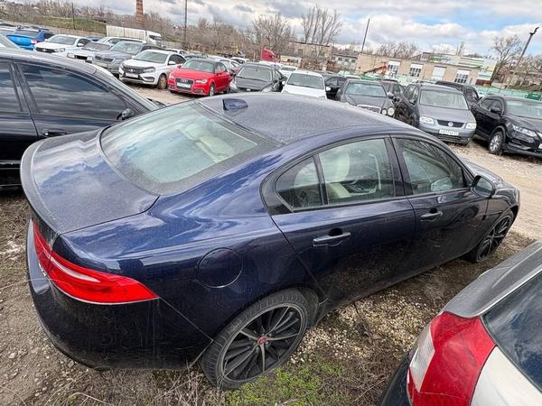 Jaguar XE 2017, фото 6